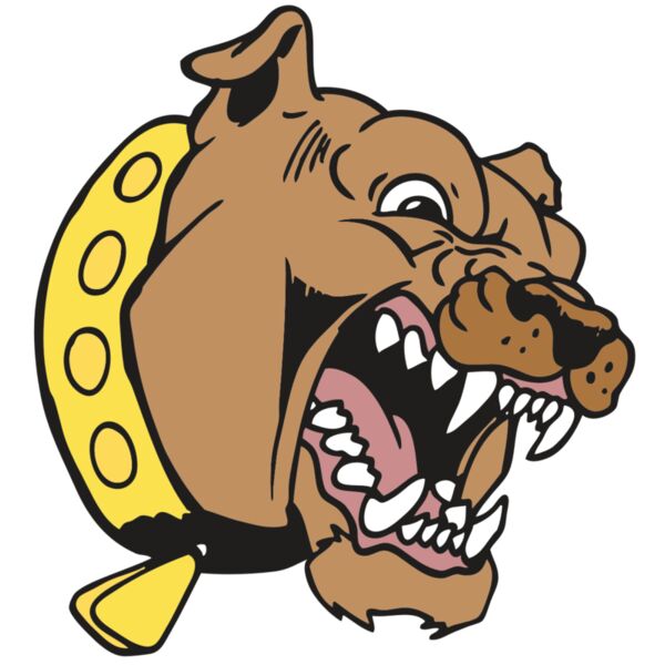 AR BDOG 49 RC Thumbnail